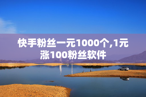 快手粉丝一元1000个,1元涨100粉丝软件