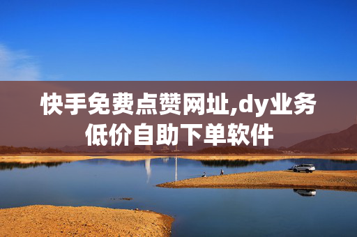 快手免费点赞网址,dy业务低价自助下单软件