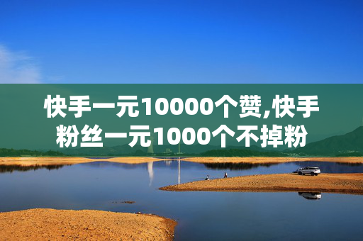 快手一元10000个赞,快手粉丝一元1000个不掉粉