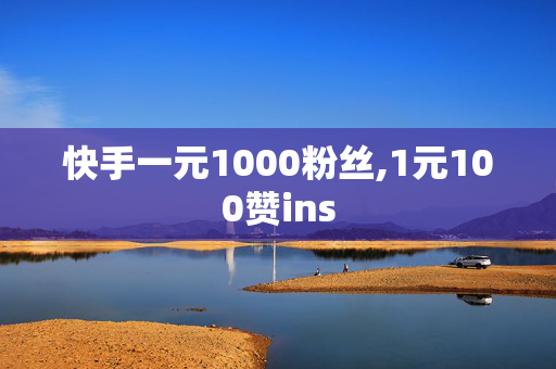 快手一元1000粉丝,1元100赞ins