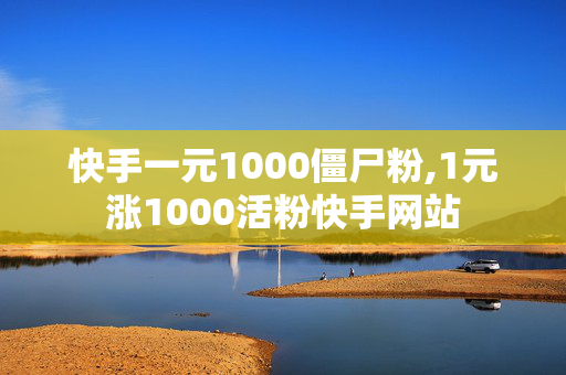 快手一元1000僵尸粉,1元涨1000活粉快手网站