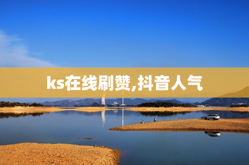 ks在线刷赞,抖音人气