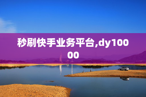 秒刷快手业务平台,dy10000