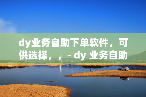 dy业务自助下单软件，可供选择，，- dy 业务自助下单软件，便捷高效的一站式服务平台