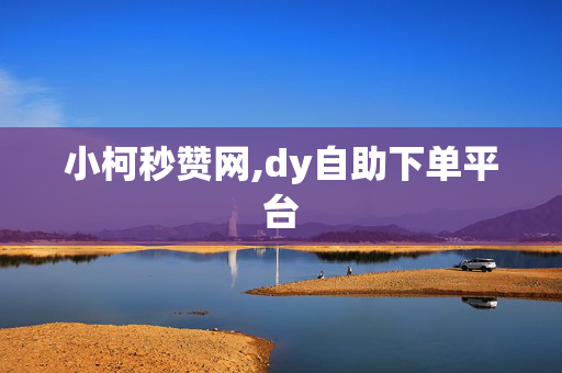 小柯秒赞网,dy自助下单平台