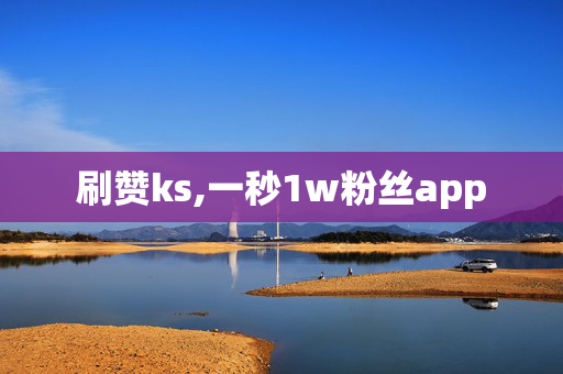 刷赞ks,一秒1w粉丝app