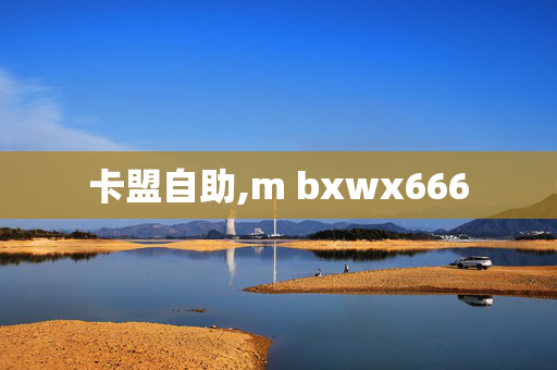 卡盟自助,m bxwx666