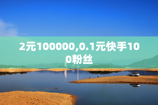 2元100000,0.1元快手100粉丝