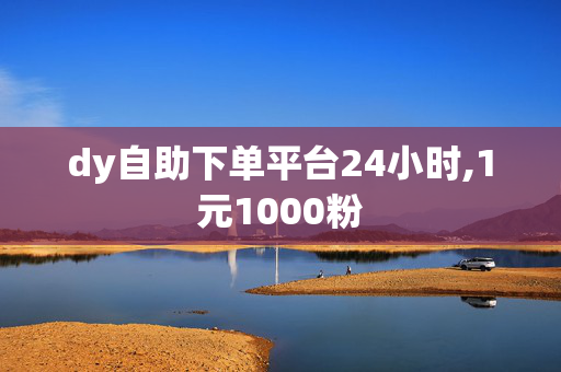 dy自助下单平台24小时,1元1000粉