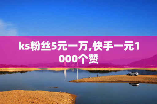 ks粉丝5元一万,快手一元1000个赞