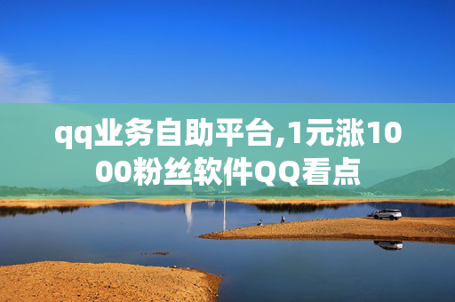 qq业务自助平台,1元涨1000粉丝软件QQ看点